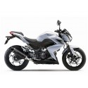 SILENCIOSO CARBONO  LEOVINCE Z 250 2015-16