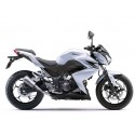 STAINLESS EXHAUST LV-10 LEOVINCE Z 250 2015-16