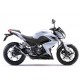 INOX SILENCIEUX LEOVINCE LV-10 CBR 250 R 2011-13