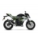 KIT GP CORSA CARBONE LEOVINCE NINJA 300 R / ABS 2013-17