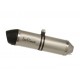 SILENCIOSO INOX LV ONE LEOVINCE DUKE 200 2012-14
