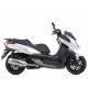 SILENCIEUX INOX LEOVINCE SH 300I 2007-15
