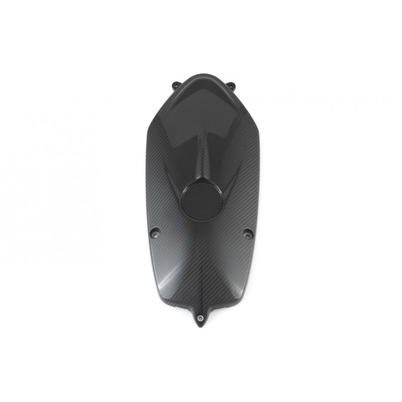 TAPA MOTOR CARBONO FULLLSIX R NINE T (2014 -)