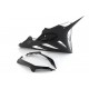 FULLSIX CARBON QUILLE S1000RR (2009-2011) RACE LINE