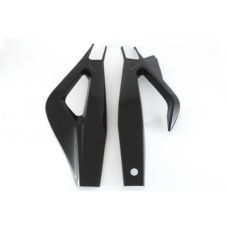 SWINGARM PROTECTOR FULLSIX S 1000R (2013-16) RACE LINE