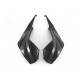 TANK FAIRING CARBON FULLSIX S1000RR (2019 -)