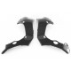 KIT PROTECTEUR CADRE CARBONE FULLSIX