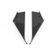 SET CARENADO LATERAL CARBONO FULLSIX