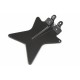 NUMBER PLATE HOLDER CARBON FULLSIX