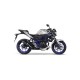 KIT GP CORSA CARBONE LEOVINCE NINJA 300 R / ABS 2013-17