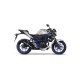 KIT GP CORSA CARBON LEOVINCE NINJA 300 R / ABS 2013-17