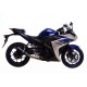 KIT GP CORSA CARBONE LEOVINCE NINJA 300 R / ABS 2013-17