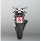 EVOLUTION LINE SYSTEM CARBON YZF-R1