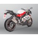 COLECTOR OPCIONAL ACERO INOXIDABLE AKRAPOVIC