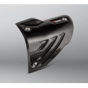 PROTECTEUR THERMIQUE AKRAPOVIC CARBONO