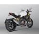 COLECTOR EVOLUTION TITANIO AKRAPOVIC