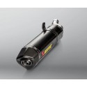 Escape de Carbono Akrapovic Homologado