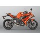 SISTEMA RACING LINE AKRAPOVIC TITANIO