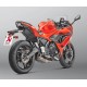 SISTEMA RACING LINE AKRAPOVIC TITANIO
