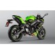 Système Akrapovic Titanium Racing Line