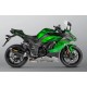 Échappement Akrapovic Carbon Homologué