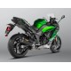 Escape Carbono Akrapovic Homologado
