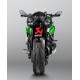 Escape Carbono Akrapovic Homologado