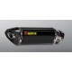 Escape Carbono Akrapovic Homologado
