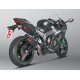 ESCAPE RACING LINE CARBONO