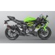 Escape Slip-On Akrapovic Carbono Homologado