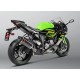 Échappement Slip-On Homologué Akrapovic Carbon