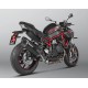 Escape Slip-On Akrapovic Titanio Homologado