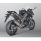 Racing Line Titanium Akrapovic System Not Approved