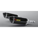 Doble Slip-On Line Carbono Akrapovic Homologado