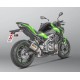 Échappement Slip-On Homologué Akrapovic Titane