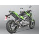 EXHAUST CARBON AKRAPOVIC APPROVED