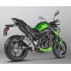Escape Slip-On Akrapovic Titanio Homologado
