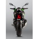 Escape Slip-On Akrapovic Titanio Homologado