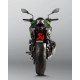 Escape Slip-On Akrapovic Carbono Homologado