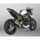 Échappement Slip-On Homologué Akrapovic Titane