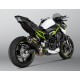 Échappement Slip-On Homologué Akrapovic Carbon