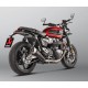 Escape Slip-On Akrapovic Titanio Homologado
