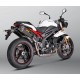 DOBLE SILENCIOSO CARBONO TRIUMPH