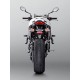 MUFFLER CARBON DOUBLE TRIUMPH