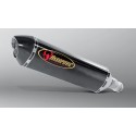 Escape Carbono Akrapovic FZ 1 Fazer