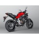 SISTEMA ESCAPE RACING LINE CARBONO