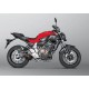 SISTEMA ESCAPE RACING LINE CARBONO