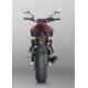 SISTEMA ESCAPE RACING LINE CARBONO