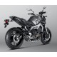 SISTEMA ESCAPE RACING LINE CARBONO