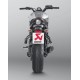 SISTEMA ESCAPE RACING LINE CARBONO